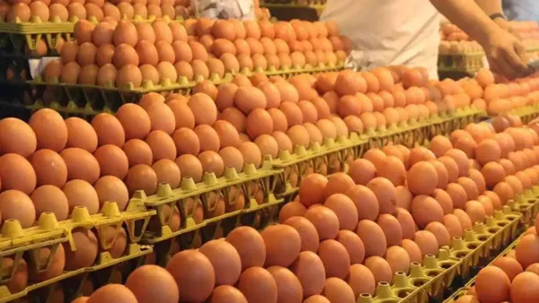 এবার ডিমের দাম বাড়ছে