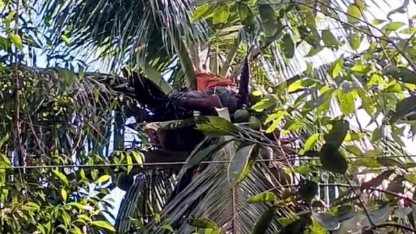 কুমিল্লায় বিদ্যুৎস্পৃষ্টে দুইজনের মৃত্যু