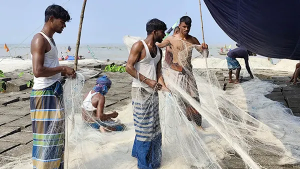 মধ্যরাতে শেষ হচ্ছে ইলিশ ধরার নিষেধাজ্ঞা 