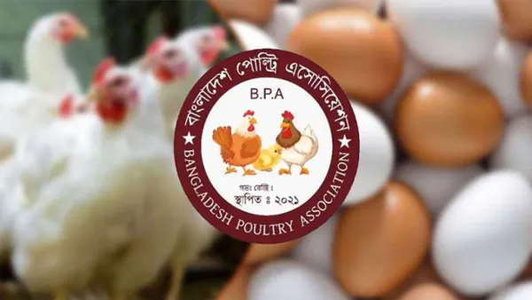 আজ থেকে ডিম মুরগি উৎপাদন বন্ধের ঘোষণা