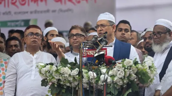 একটি দল রাজনৈতিক স্বার্থে ইসলামের ক্ষতি করতে চায়: সালাহউদ্দিন আহমদ 