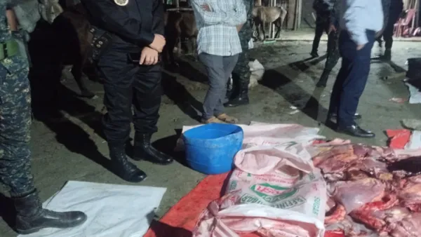  রেস্টুরেন্টে ঘোড়ার মাংসকে গরুর বলে খাওয়ানোর অভিযোগ