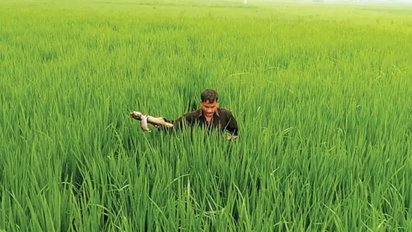 নতুন দিগন্তে সফল হোক কৃষক