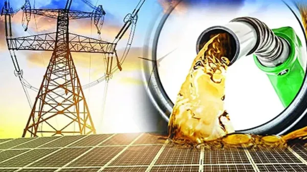 বিদ্যুৎ-জ্বালানি খাতে ধীরগতি