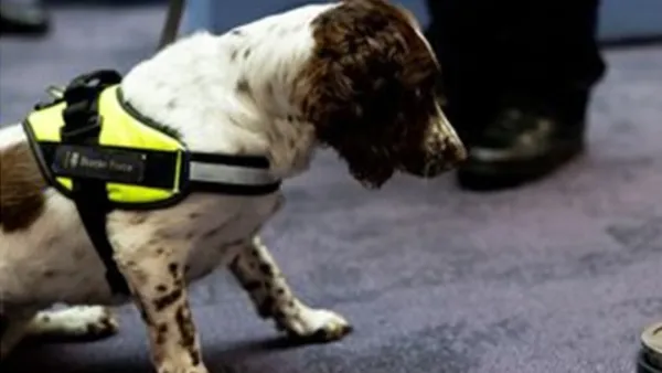 যুক্তরাজ্যে বিশ্বের প্রথমবারের মতো ‘কুকুর ইউনিট’ চালু