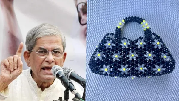 ফেসবুকে ব্যাগের ছবি দিয়ে যে বার্তা দিলেন মির্জা ফখরুল