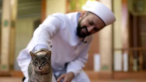 প্রাণীদের কষ্ট দিলে পরকালে যে পরিণতি হবে