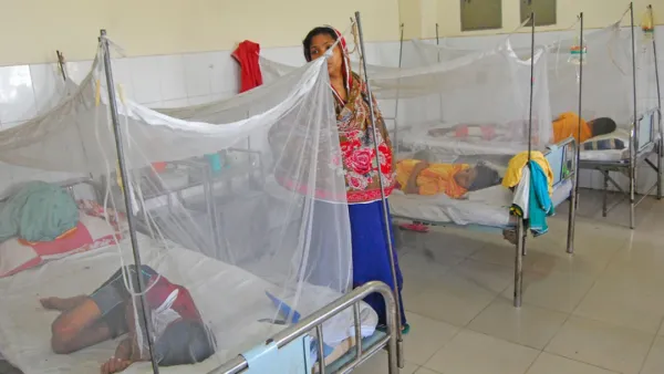 ডেঙ্গুতে আরও ৫ জনের মৃত্যু 