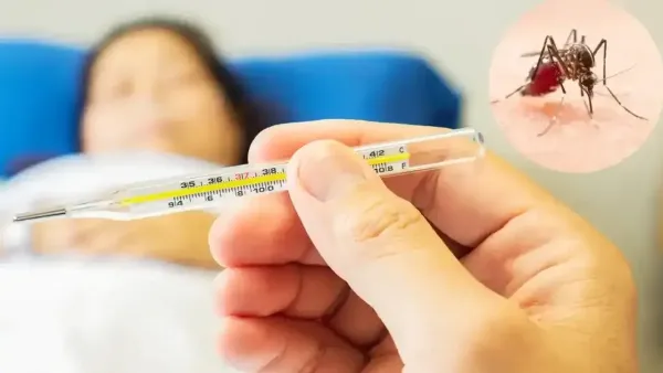 ডেঙ্গু রোগ সম্পর্কে সচেতনতা খুব জরুরি