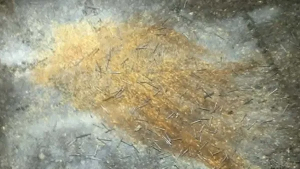 ধানমন্ডি ২৭ নম্বরে ককটেল বিস্ফোরণ 