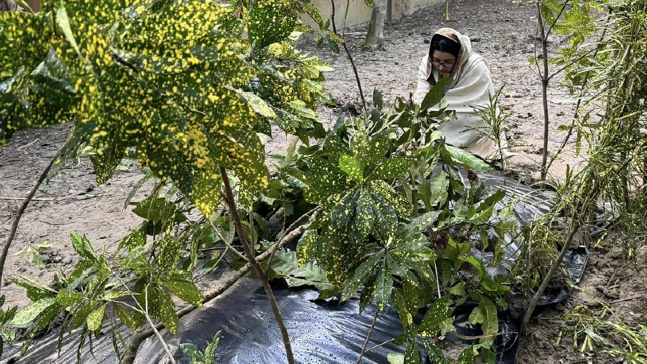 নানাকে নিয়ে পরীর আবেগঘন পোস্ট