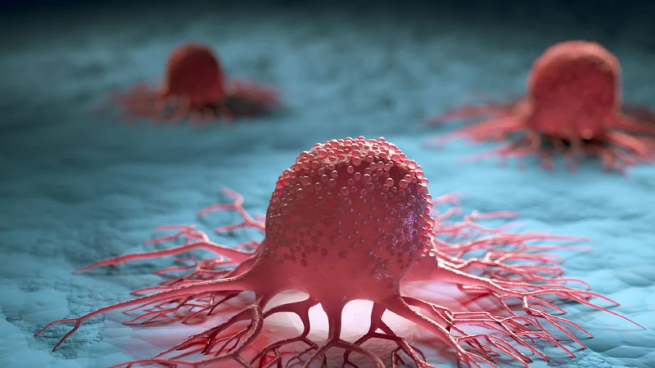 প্রসেসড ফুডে ক্যানসারের ঝুঁকি বাড়ে