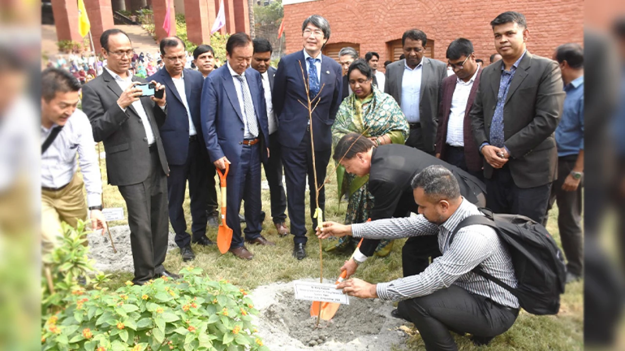 প্রথমবারের মতো বাংলাদেশে জাপানের চেরি গাছ রোপণ