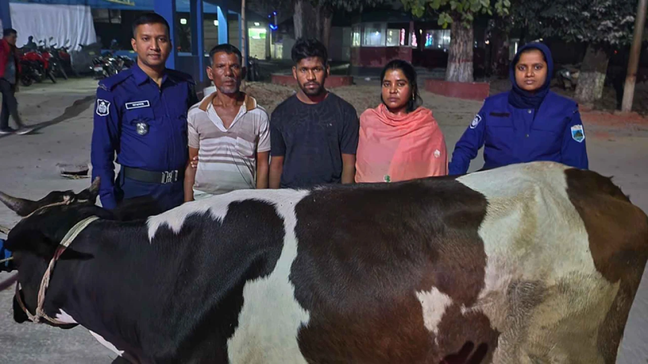 নারী দিয়ে গুরু চুরির অভিযোগ, ৩ জনকে গ্রেপ্তার