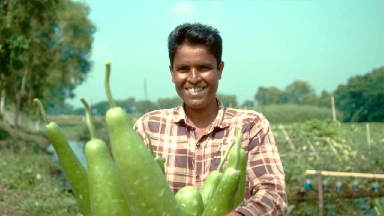 পরিত্যক্ত প্লাস্টিকের বোতল ব্যবহার করে ফসল ফলাচ্ছেন কৃষকেরা