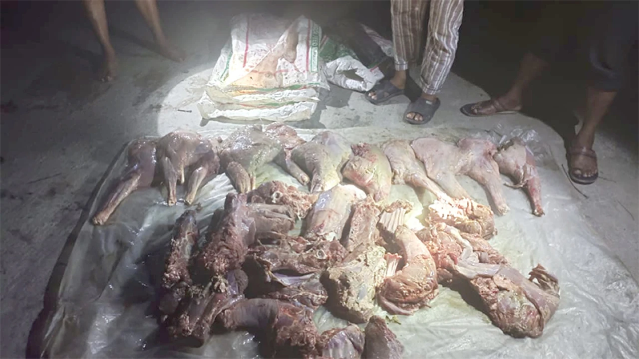 সাতক্ষীরার শ্যামনগর থেকে ৬০ কেজি হরিণের মাংস জব্দ