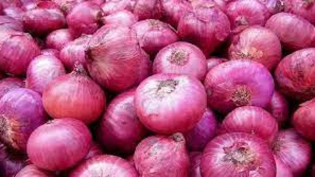 ভারতের রপ্তানি বন্ধের খবরে বাড়ল পেঁয়াজের দাম
