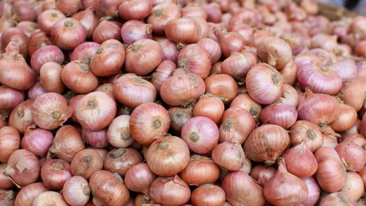 পেঁয়াজ নিয়ে নজরদারি বাড়ানোর নির্দেশ সরকারের