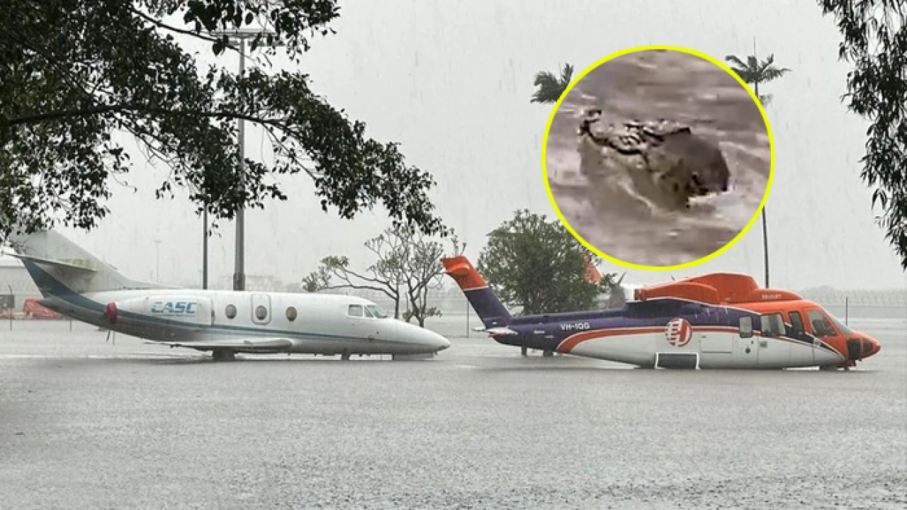 অস্ট্রেলিয়ায় বৃষ্টিতে ডুবল বিমানবন্দর, শহরের রাস্তায় কুমির