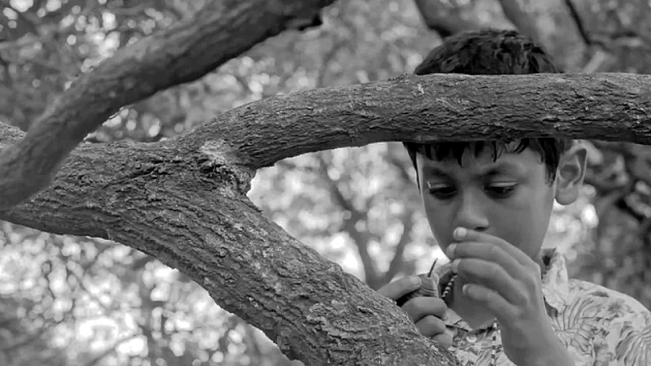 ৬৪ জেলায় ‘আম-কাঁঠালের ছুটি’