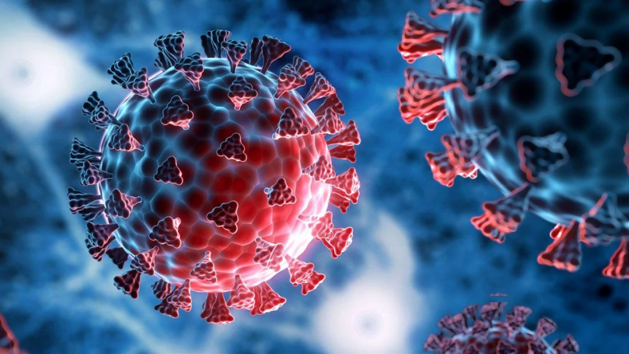 আবারও করোনার ভয়, মাস্ক পরার পরামর্শ