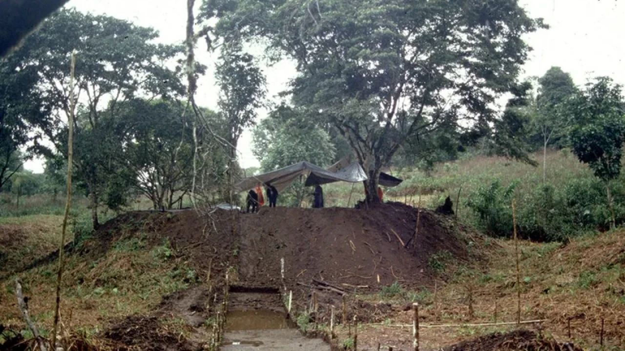 গহীন অ্যামাজনে মিলল হাজার বছরের পুরোনো শহর