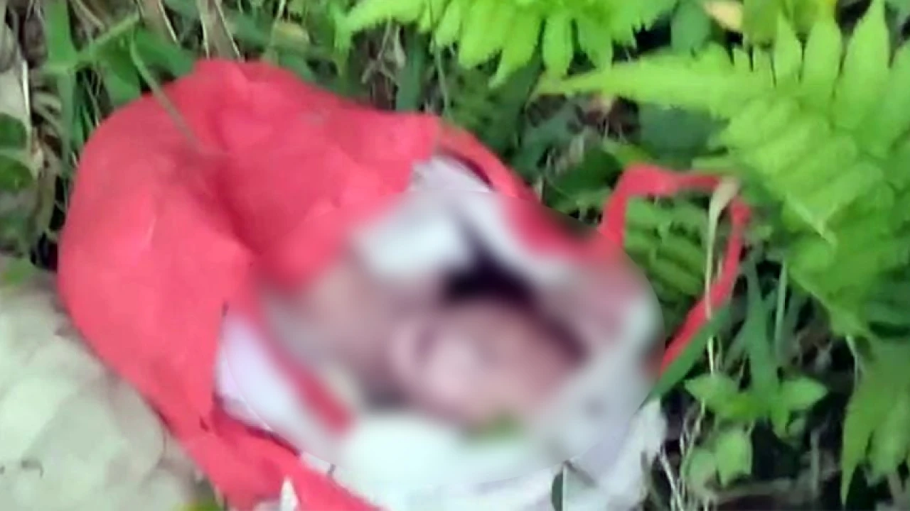 শপিং ব্যাগে মিলল নবজাতকের মরদেহ