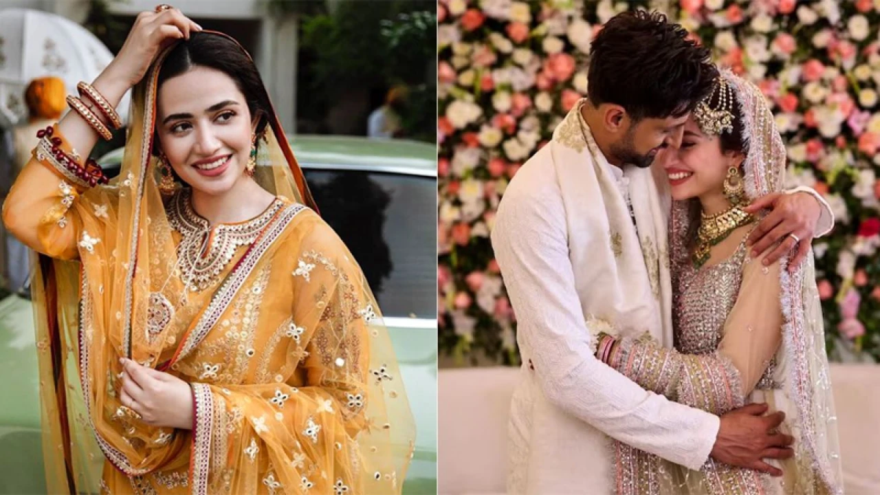 শোয়েব মালিকের তৃতীয় স্ত্রী কে এই সানা জাভেদ?