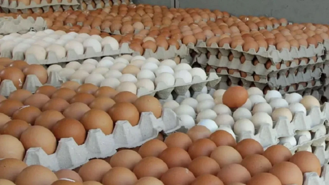 ডিমের দাম বাড়াতে কারসাজি, সাড়ে ৩ কোটি টাকা জরিমানা