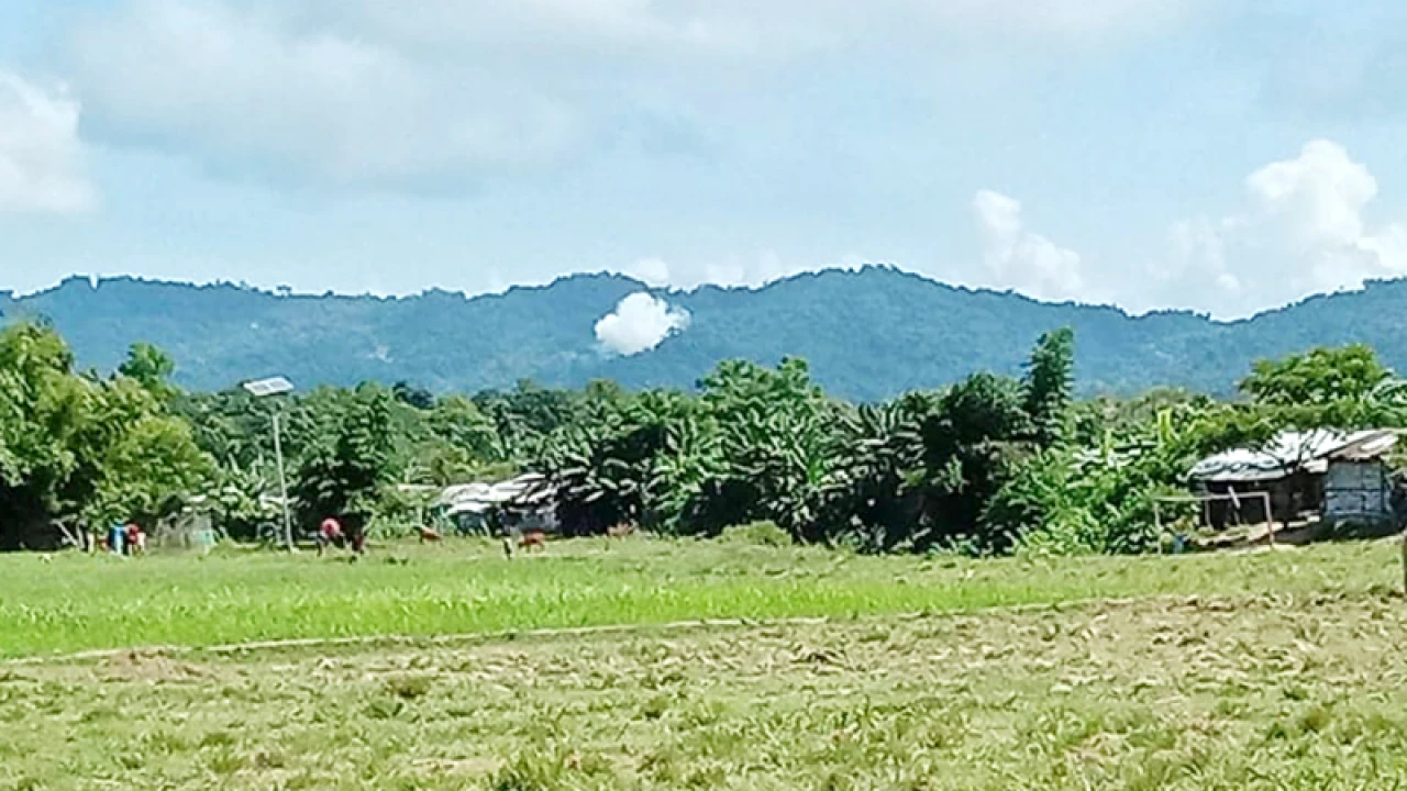 দুই রোহিঙ্গা নারীকে স্বদেশে ফেরত পাঠাল বিজিবি