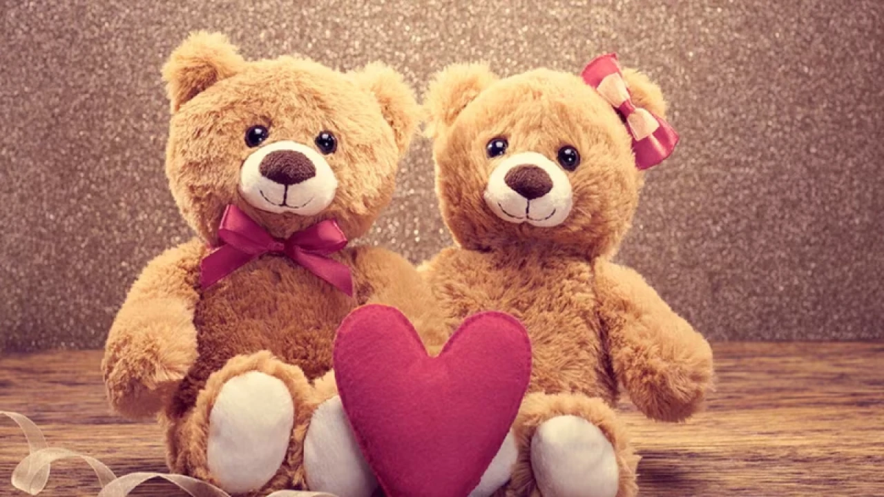রাগ ভাঙাতে প্রিয়জনকে আজ উপহার দিন টেডি বিয়ার