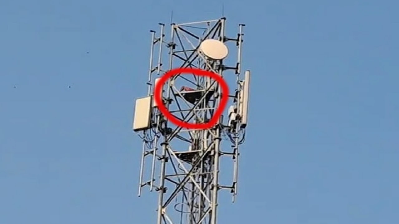 স্ত্রীর সঙ্গে ঝগড়া করে টাওয়ারের ১২০ ফুট উঁচুতে যুবক, অতঃপর...