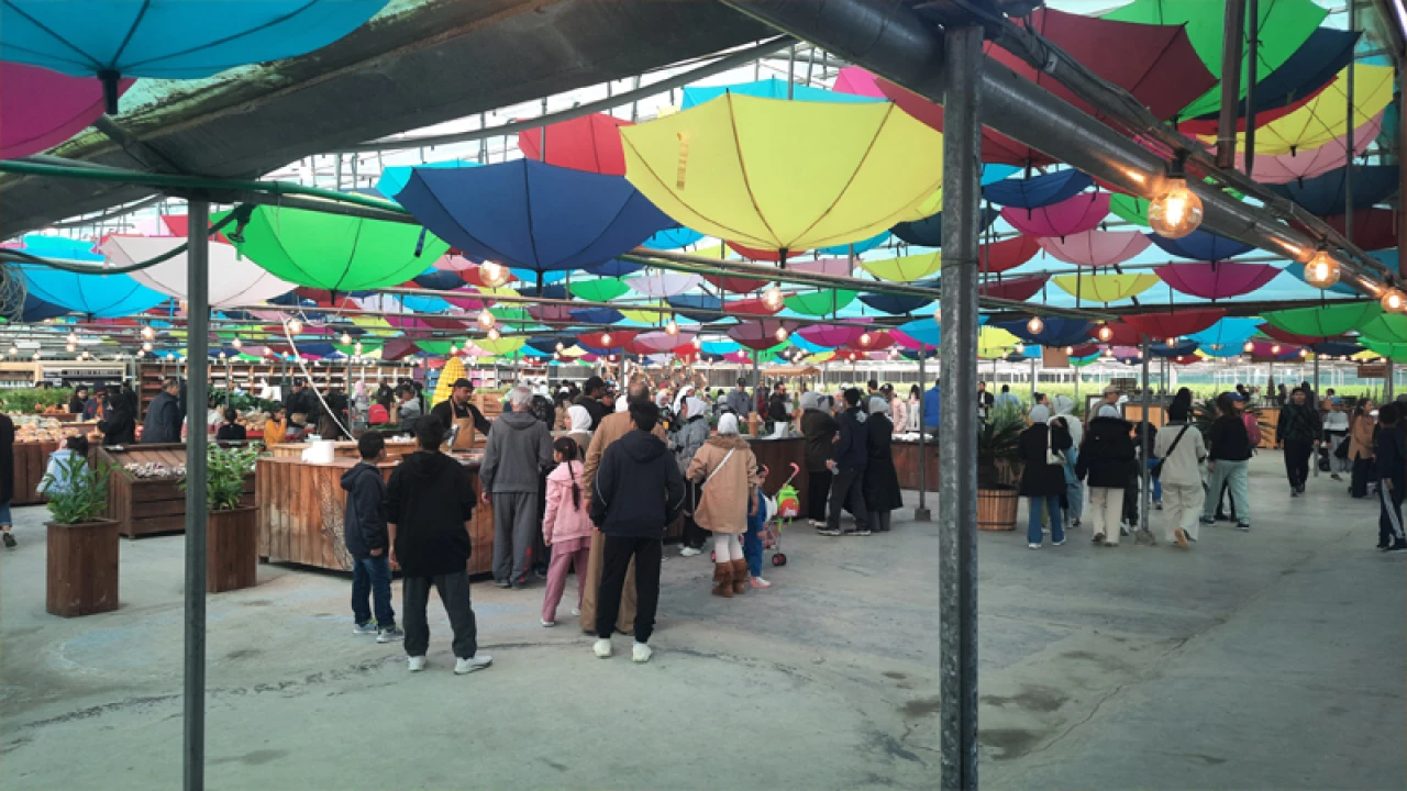 বাংলাদেশসহ ৫৩ দেশের জন্য ভ্রমণ ভিসা চালু করল কুয়েত