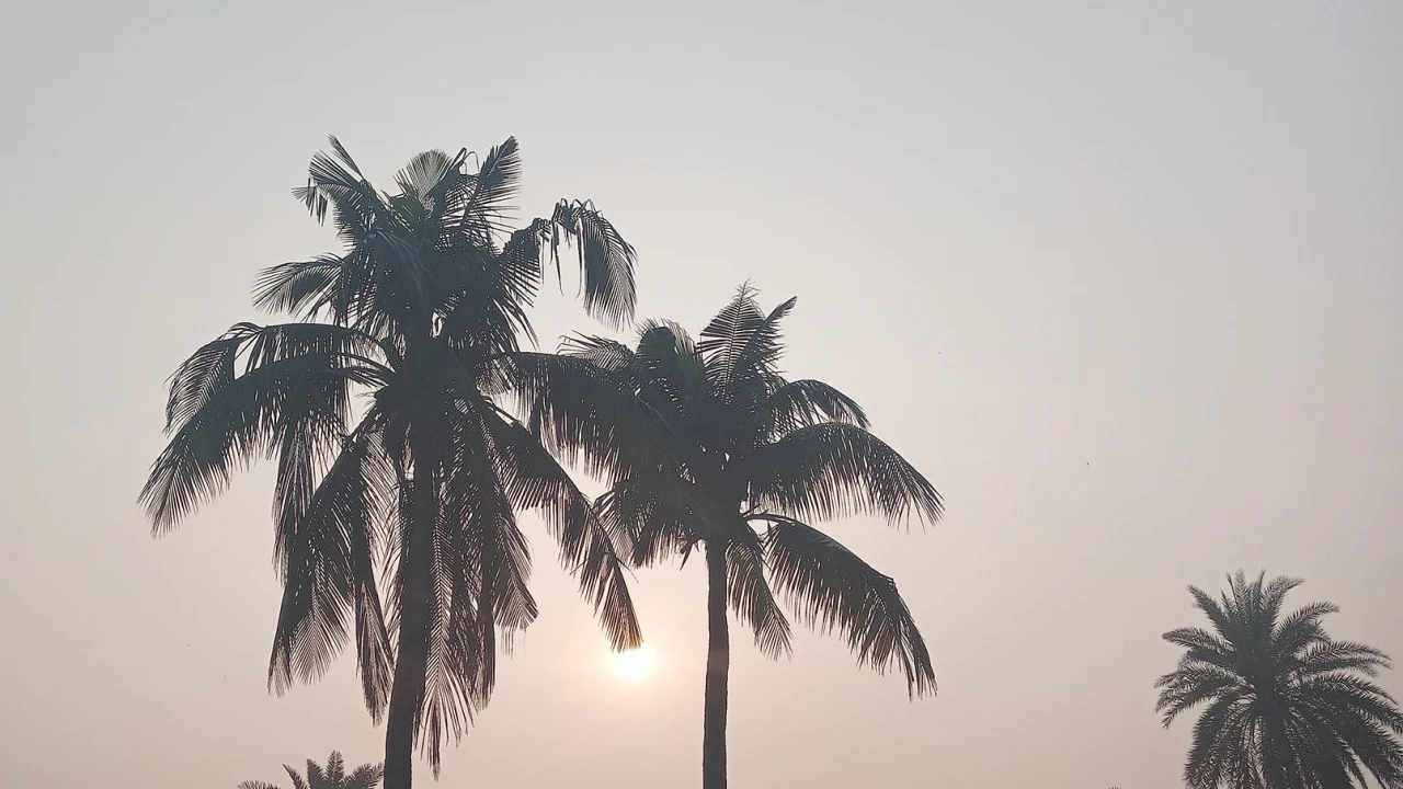 বৃষ্টি ও তাপমাত্রা নিয়ে আবহাওয়া অফিসের নতুন বার্তা