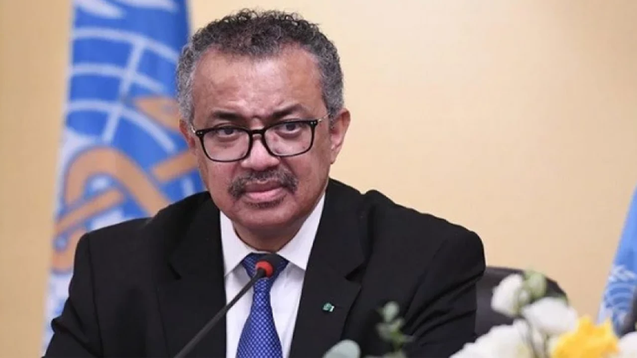 গাজা এখন মৃত্যু উপত্যকা: ডব্লিউএইচও