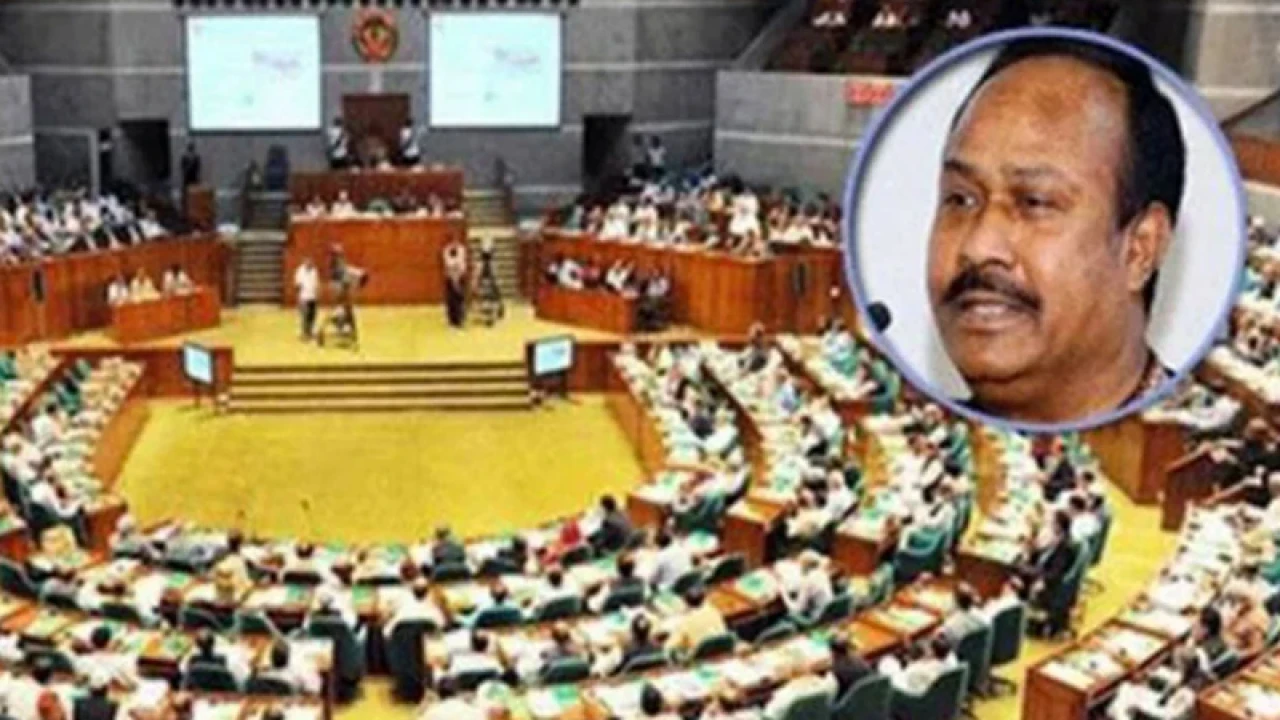 সরকার যদি শক্ত না হয় দেশ খালি হয়ে যাবে: চুন্নু