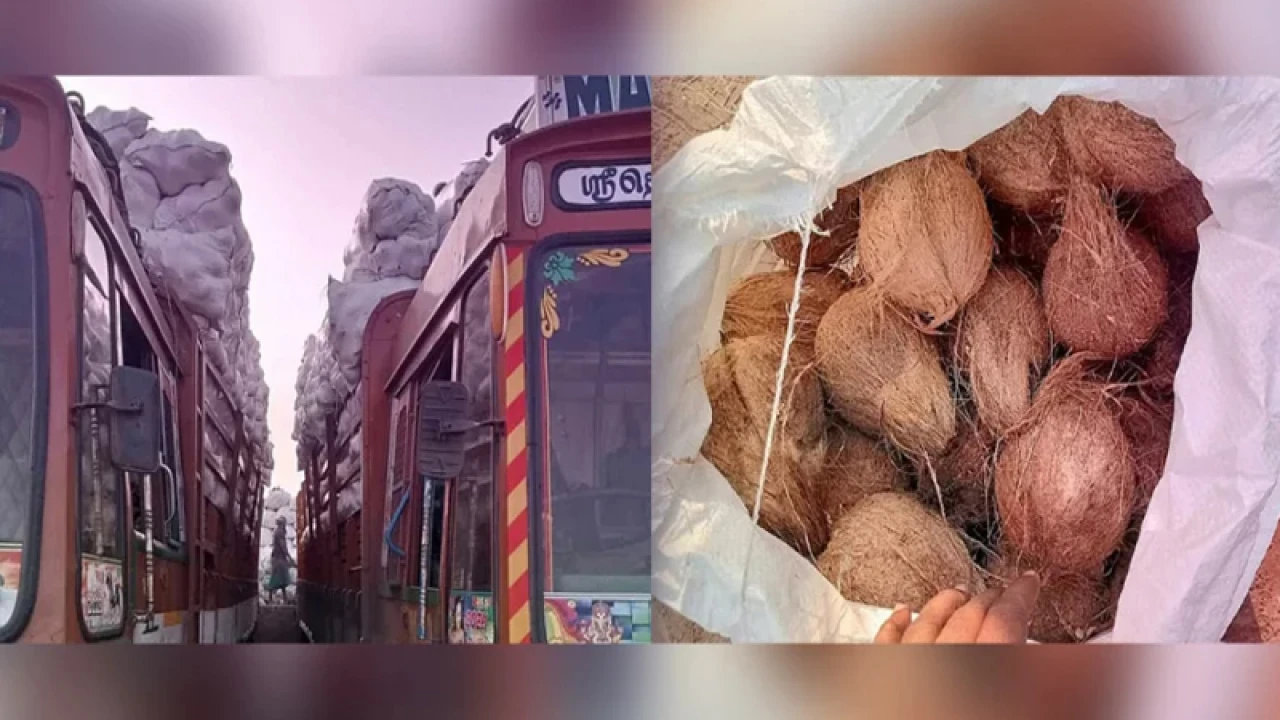 ভারত থেকে প্রথমবার নারকেল আমদানি