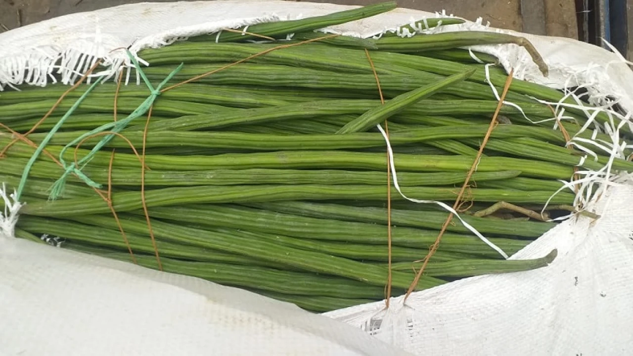 ভারত থেকে সজনে ডাঁটা আমদানি