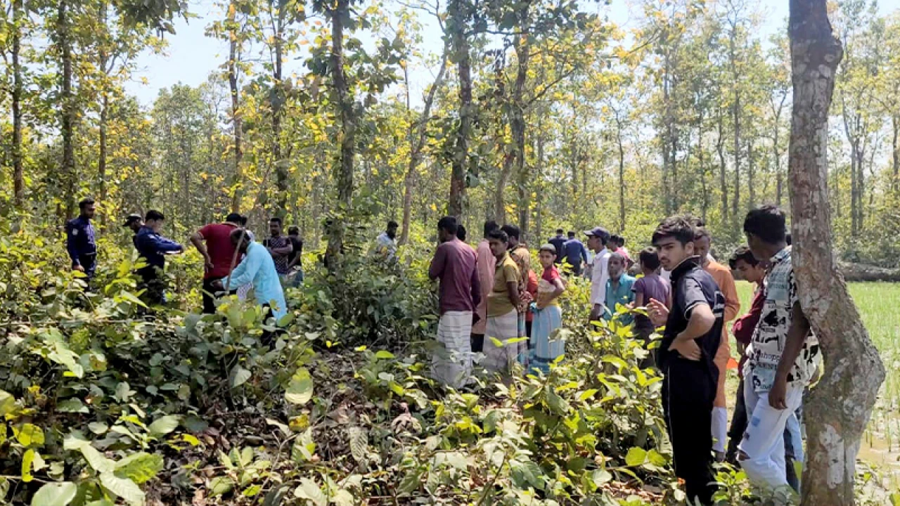 গজারি বনে মানুষের কঙ্কাল, খণ্ড খণ্ড মাথার খুলি
