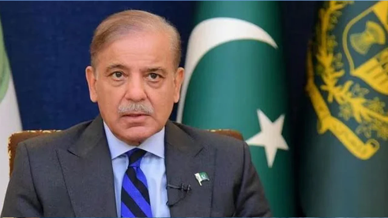 মন্ত্রিসভার জন্য ১৯ জনের নাম প্রস্তাব করলেন শাহবাজ