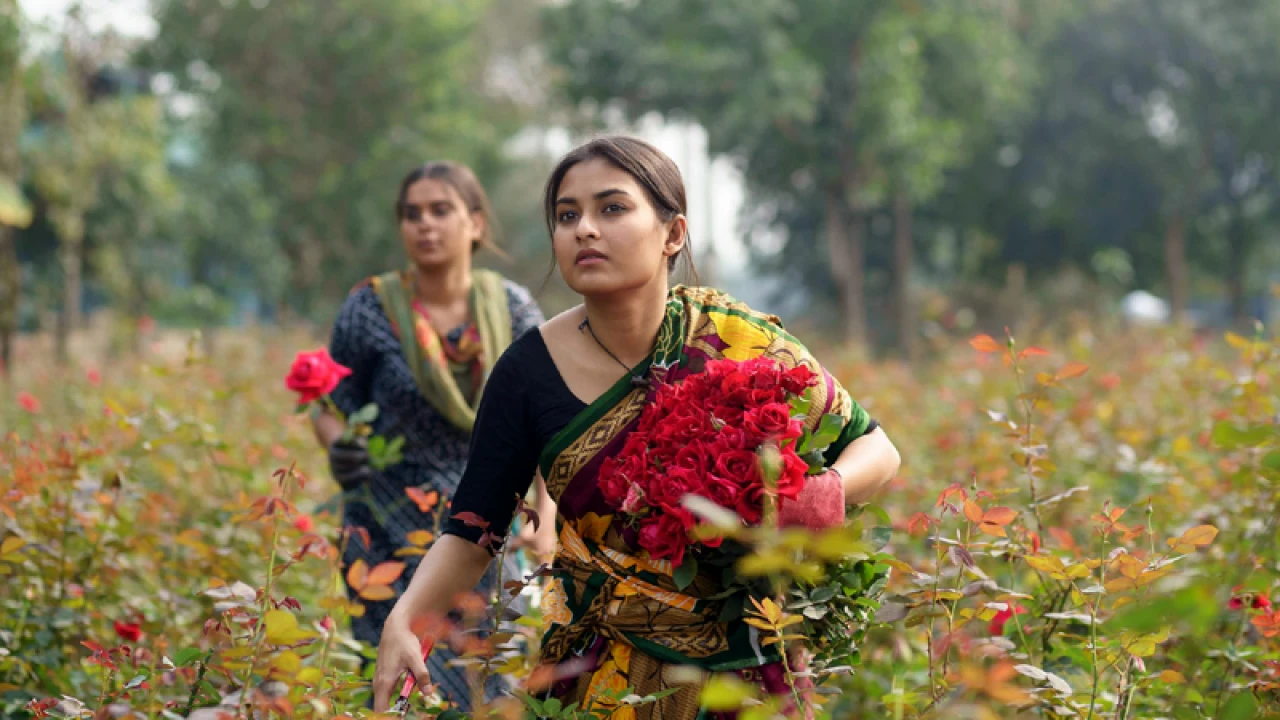 ফুল তোলার চাকরি নিলেন তটিনী!