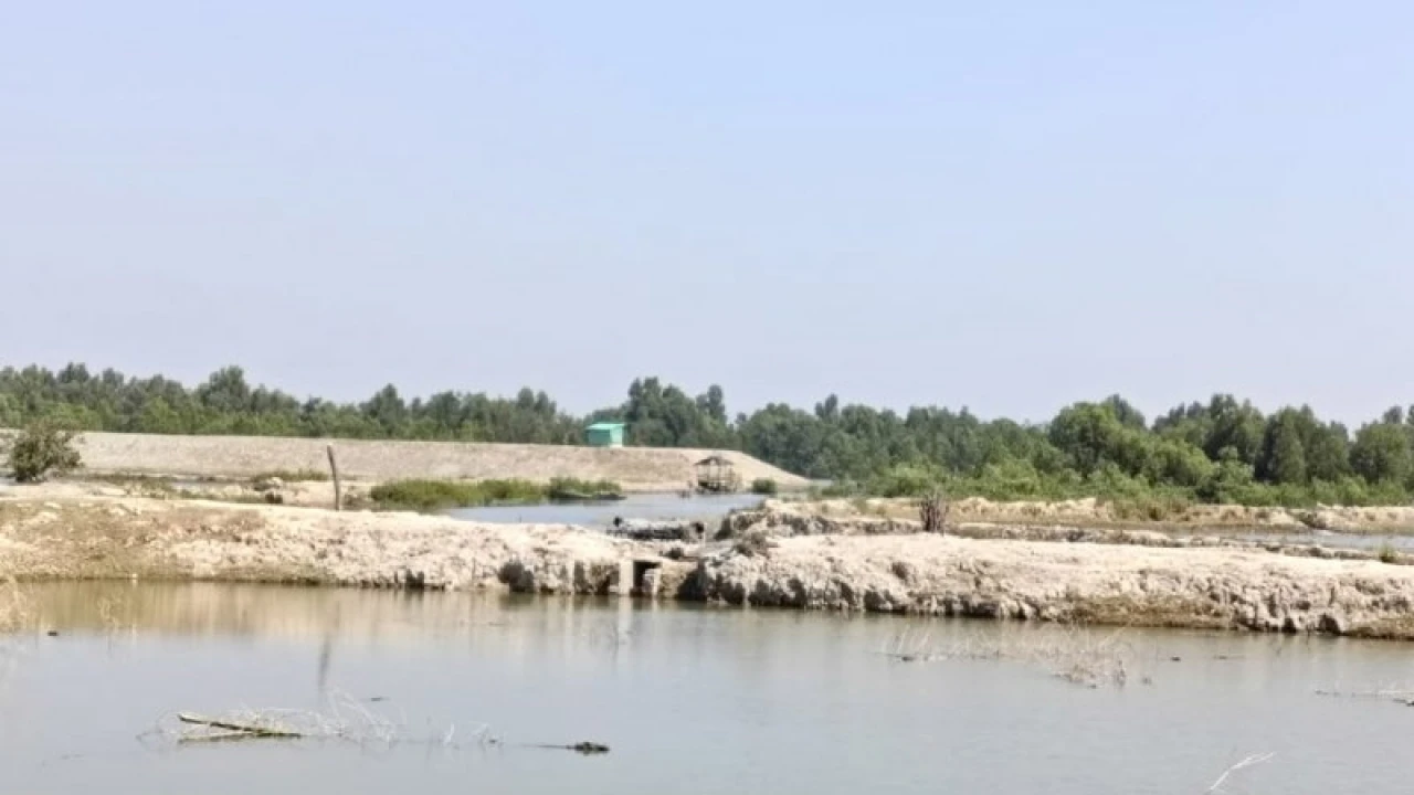 গুলি-বিস্ফোরণের শব্দে কেঁপে উঠল টেকনাফ সীমান্ত