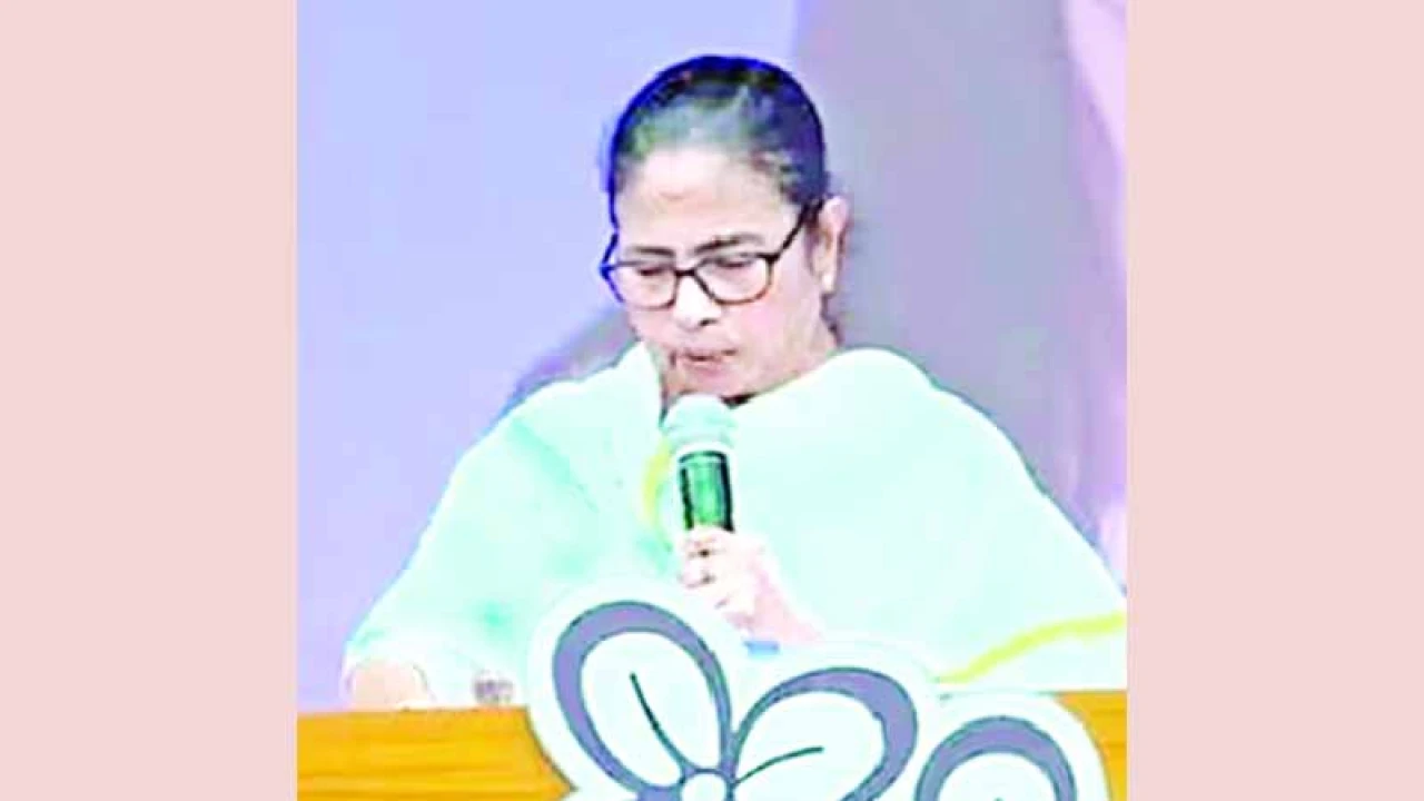 চোটের পর ফের ভোটের প্রচারে মমতা