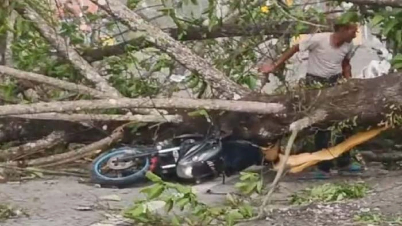 পশ্চিমবঙ্গে কালবৈশাখী ঝড়ে ৪ জনের প্রাণহানি, আহত ২০০