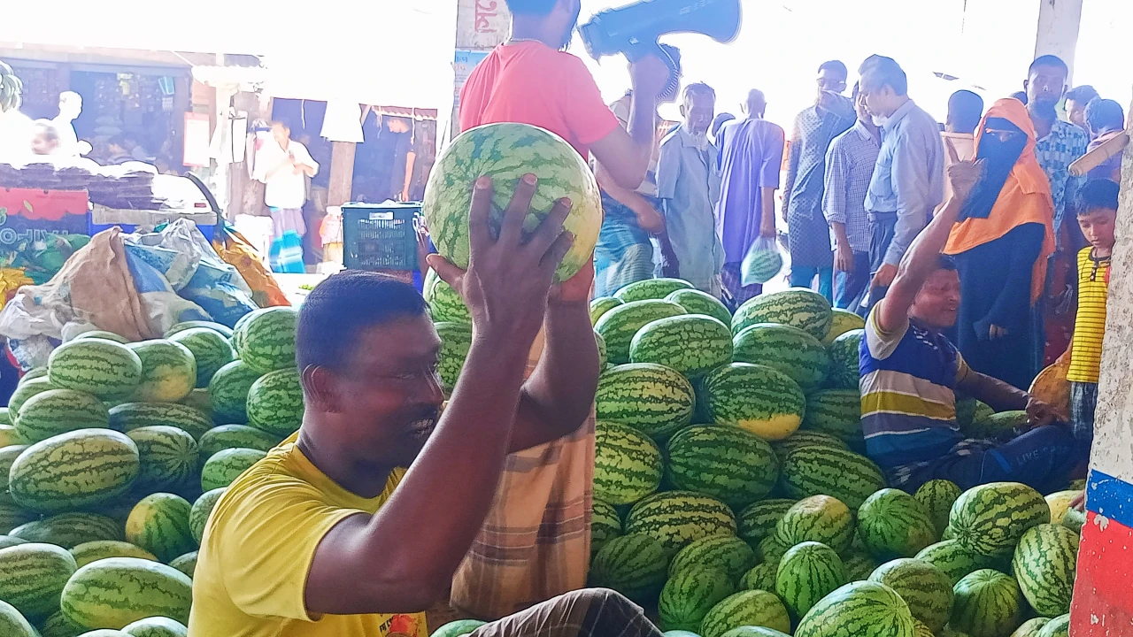 মাইকিং করেও মিলছে না তরমুজের ক্রেতা