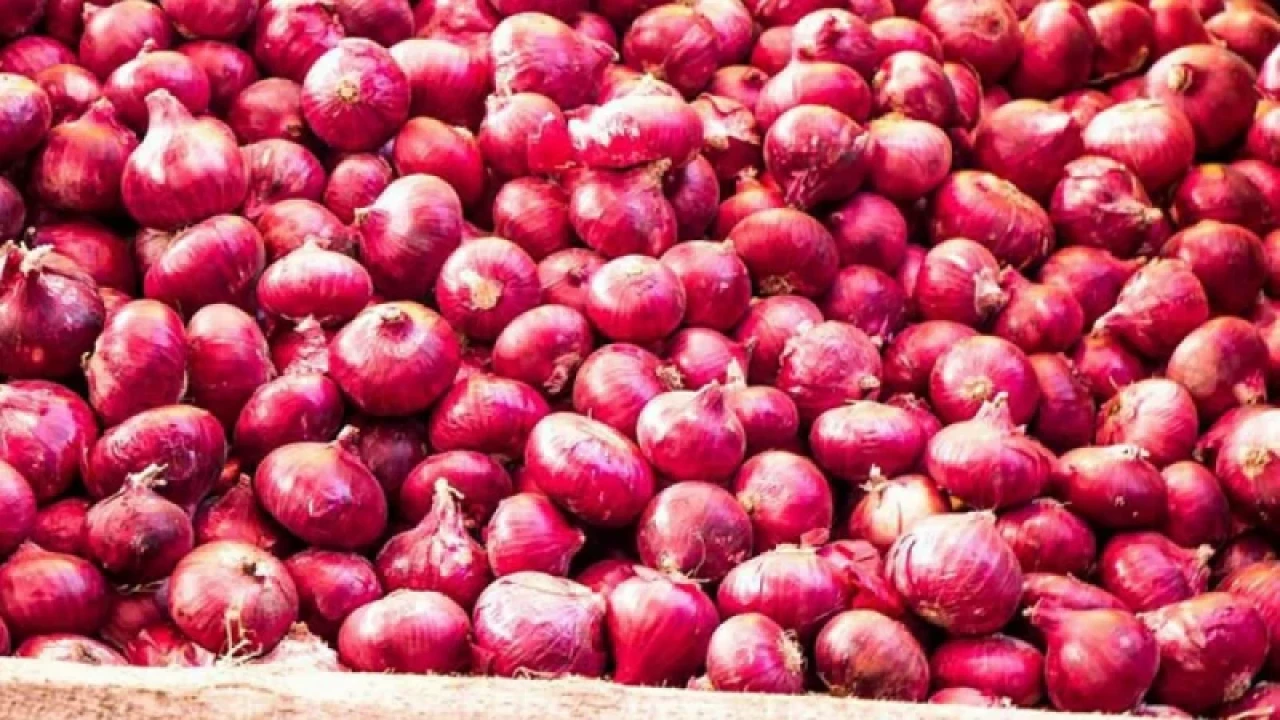 ৪০ টাকা কেজিতে মিলবে পেঁয়াজ