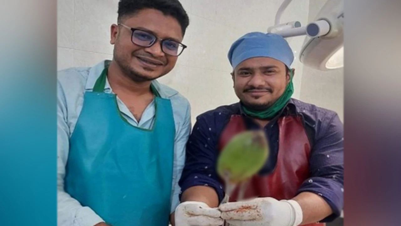 এক ঘণ্টার চেষ্টায় পায়ুপথ থেকে বের হলো ডাব