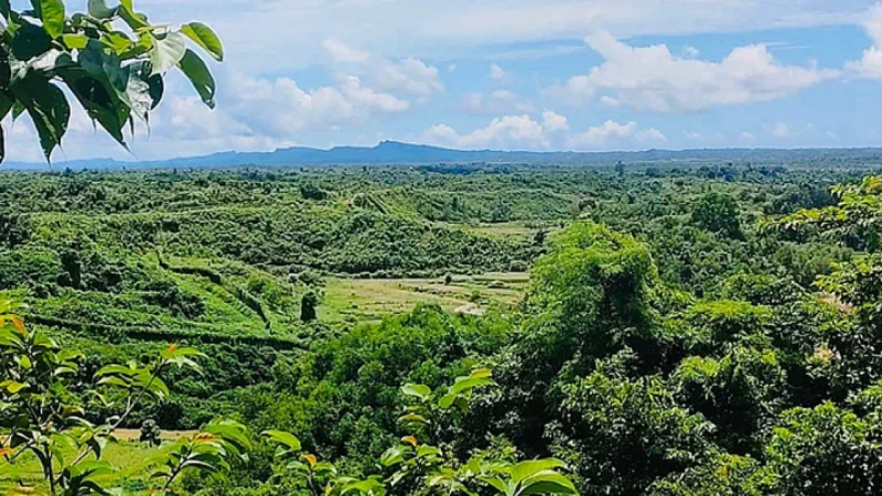 সেনাবাহিনীর অভিযানে কেএনএফ সদস্য নিহত