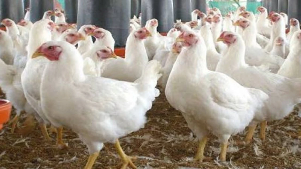 তীব্র গরমে ২০০ কোটি টাকা ক্ষতির আশঙ্কা