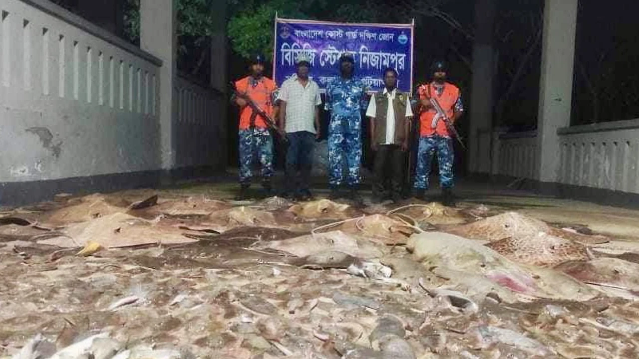 ৫০ মণ শাপলাপাতা ও ৭ মণ হাঙ্গরসহ ট্রলার জব্দ